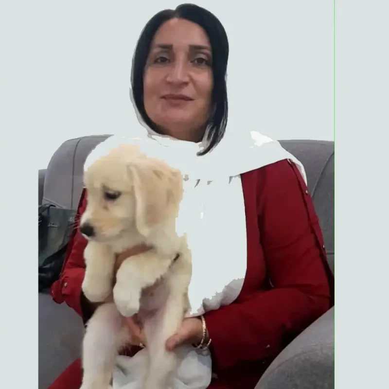 اموزش و تربیت سگ در گیلان